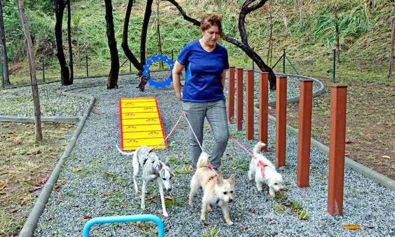 Mulher passeia com cachorros em parque de BH