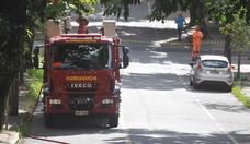 Mulher  atacada por enxame de abelhas na Regio Centro-Sul de BH