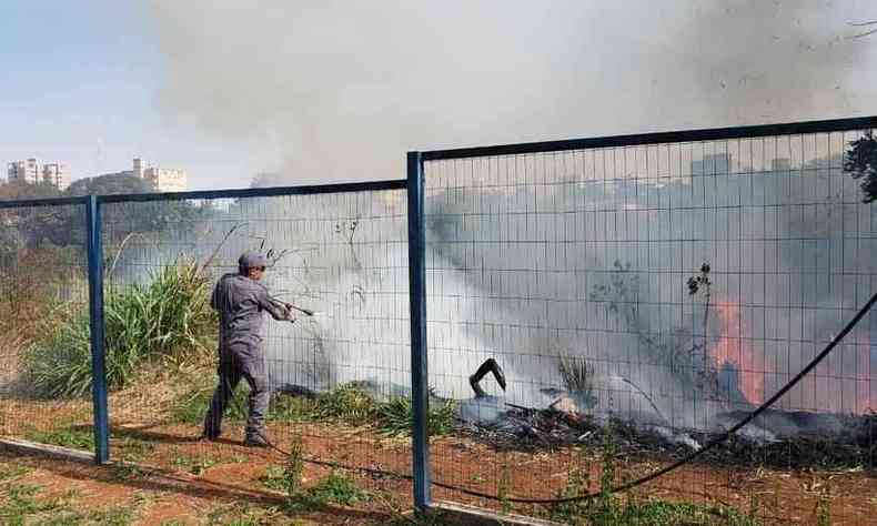 Cinco pessoas so suspeitas de colocar fogo em mata no Tringulo Mineiro(foto: CBMMG/Divulgao)