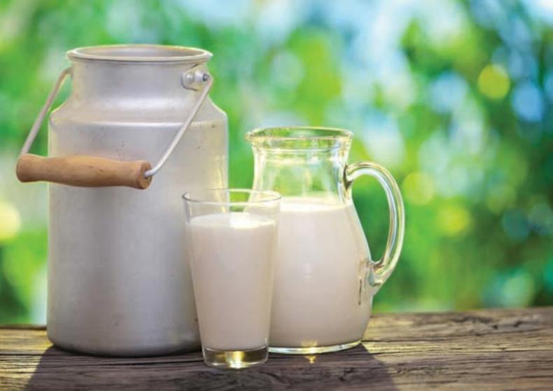 Leite de vaca contém bastante carboidratos e deve-se ter cuidado com a quantidade ingerida(foto: Revista Dominios/ReproduÇÃO da internet) Leite de vaca contém bastante carboidratos e deve-se ter cuidado com a quantidade ingerida(foto: Revista Dominios/ReproduÇÃO da internet)