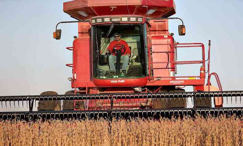 Cultivo de soja no Iowa: Estados Unidos projetam at US$ 50 bilhes em exportaes agrcolas para os chineses se tratados avanarem (foto: JOE RAEDLE/AFP %u2013 14/10/19)