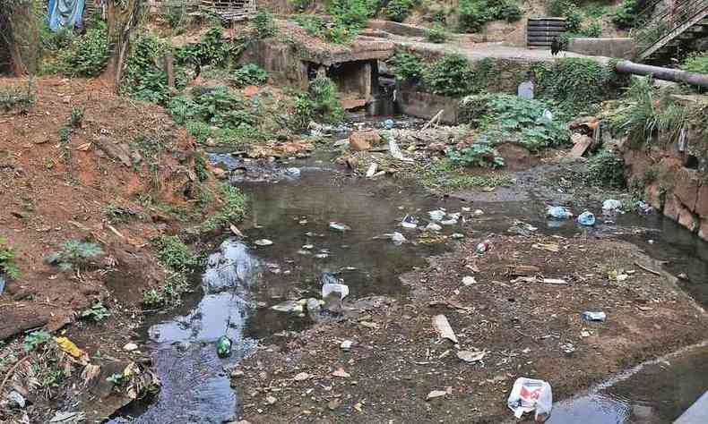 gua parada e lixo acumulado em crrego localizado na Regio Leste da capital: combinao ideal para a proliferao do mosquito