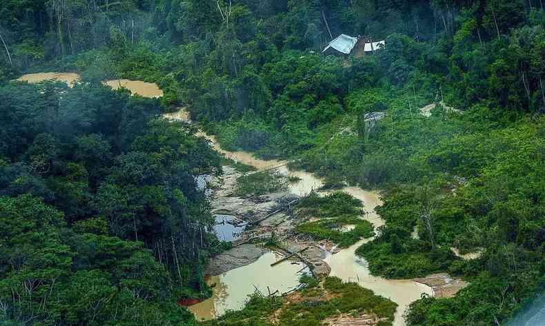 Terra Indgena Yanomami