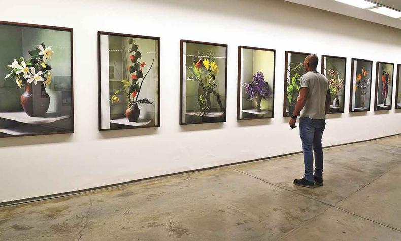 Na série ''Florada'', vasos de flores foram fotografados sempre no mesmo local e pela manhã(foto: ROCHELLE COSTI/DIVULGAÇÃO) Série Florada, exposição de Rochelle Costi