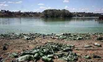 Vista da Lagoa da Pampulha, tendo a Ilha dos Amores ao fundo: toneladas de lixo so retiradas diariamente do espelho d'gua(foto: Edsio Ferreira/EM/DA Press)