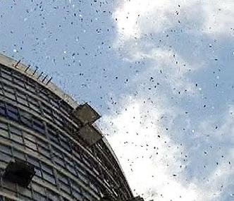 P�talas de rosas foram arremessadas do alto dos pr�dios(foto: TV Alterosa/Reprodu��o )