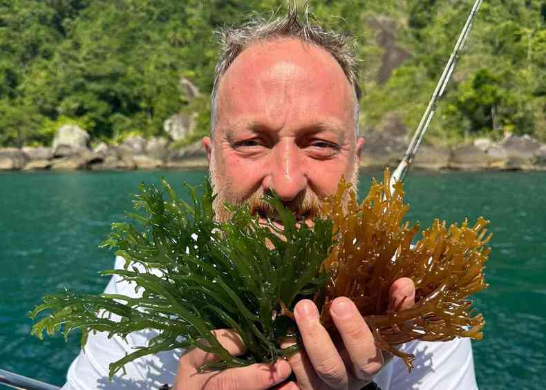 Alga kappaphycus chef Massimo Battaglini ilhabela sp
