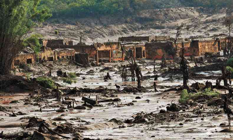 Viso geral do distrito de Bento Rodrigues, em Mariana, coberto de lama aps o rompimento da barragem da Vale, em 2015