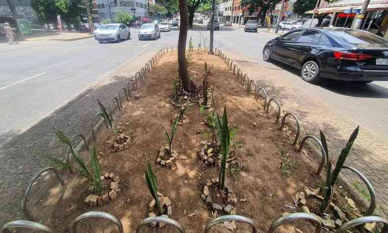 Plantas na Avenida Getlio Vargas