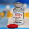 EUA autorizam vacinas contra a COVID da Pfizer e Moderna para bebês