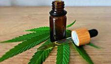 Canabidiol, substncia presente na maconha, ajuda a tratar idosos