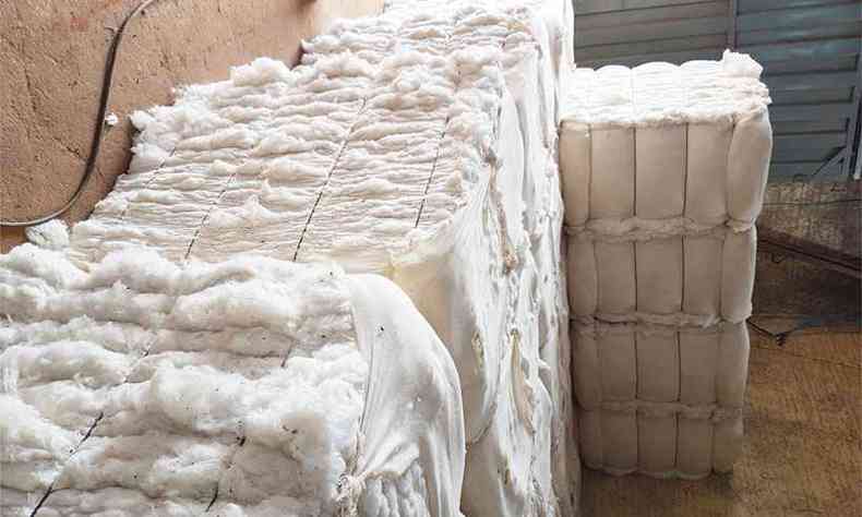 Depois de beneficiado, o algodo  armazenado em fardos para posterior comercializao(foto: Mrcia Frana/ Divulgao/Seapa )