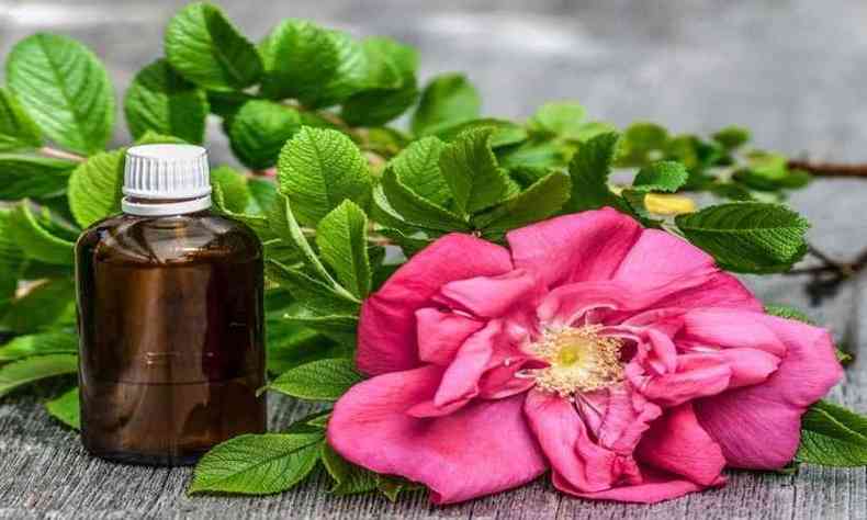 Os leos essenciais de rosa so uns dos aromas utilizados no tratamento de recuperao do olfato(foto: Pixabay)