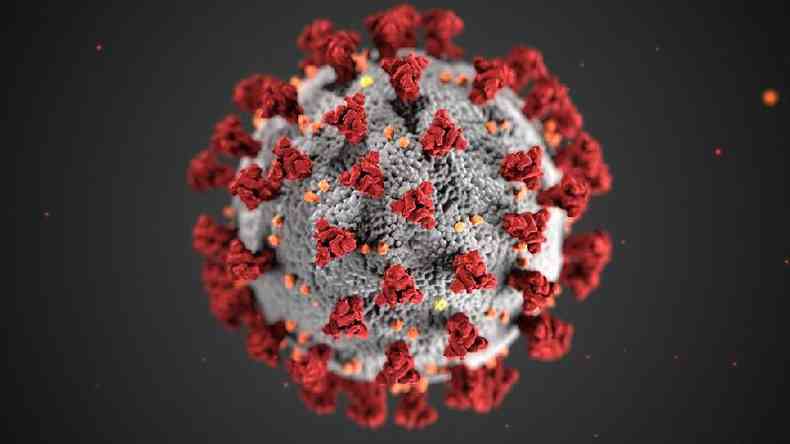 As proteínas spike (em vermelho) ajudam o vírus a entrar nas células, mas também são os alvos dos anticorpos(foto: CDC/Getty Images)