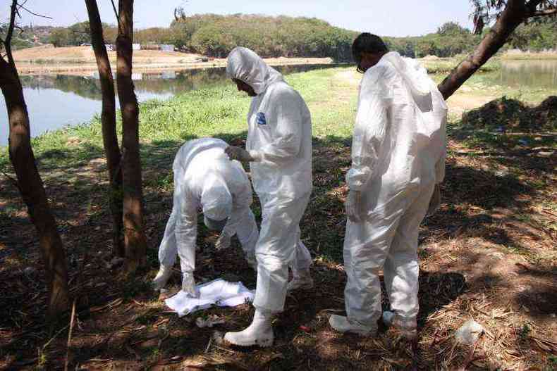 Tcnicos da Secretaria Municipal de Sade (SMSA) fizeram varredura atrs do carrapato-estrela na Pampulha(foto: Edesio Ferreira/EM/D.A Press)