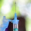  Nova vacina pode tratar e prevenir o câncer, usando células ativas