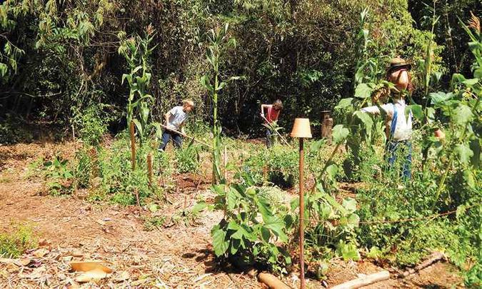 (foto: Arquivo Inov/Divulgação) (foto: Arquivo Inov/Divulgação)
