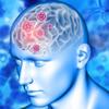 Meningite e encefalite: casos crescem no país; saiba como se proteger 