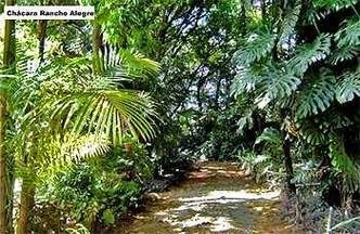 (foto: Divulga��o PBH)