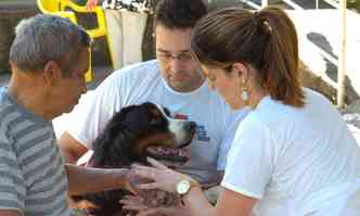 Com novos treinamentos, os cachorros so auxiliares em vrios tratamentos mdicos(foto: Jair Amaral / EM / D.A. Press)