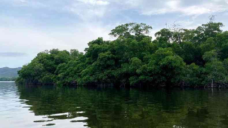 O grupo no sabia que a lagoa  um habitat natural para crocodilos(foto: BBC)