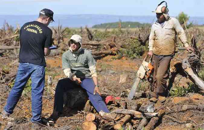 Em fazenda no Alto Paranaba, condies anlogas  escravido foram identificadas por fiscais(foto: Juarez Rodrigues/EM/D.A Press)