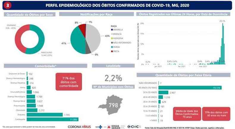 Perfil das mortes por COVID-19 em Minas Gerais(foto: Reproduo/SES)