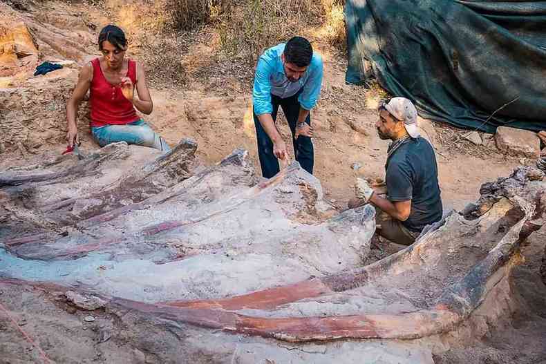 Parte de dinossauro descoberto em Portugal