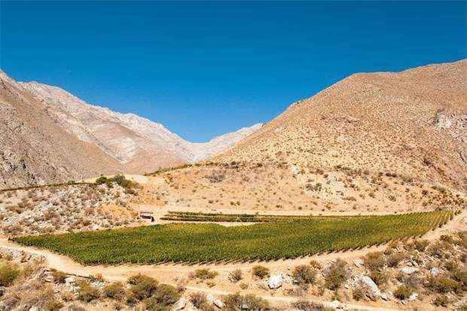 Irrigação é fundamental em algumas regiões do Chile e seca pode ter sérios efeitos para as plantações(foto: De Martino/Divulgacao) Irrigação é fundamental em algumas regiões do Chile e seca pode ter sérios efeitos para as plantações(foto: De Martino/Divulgacao)