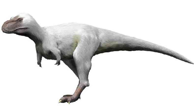 Desenho do nanuquessauro, um dinoassauro de colorao branca