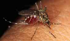 Minas Gerais pode ter uma das piores epidemias de dengue da histria   
