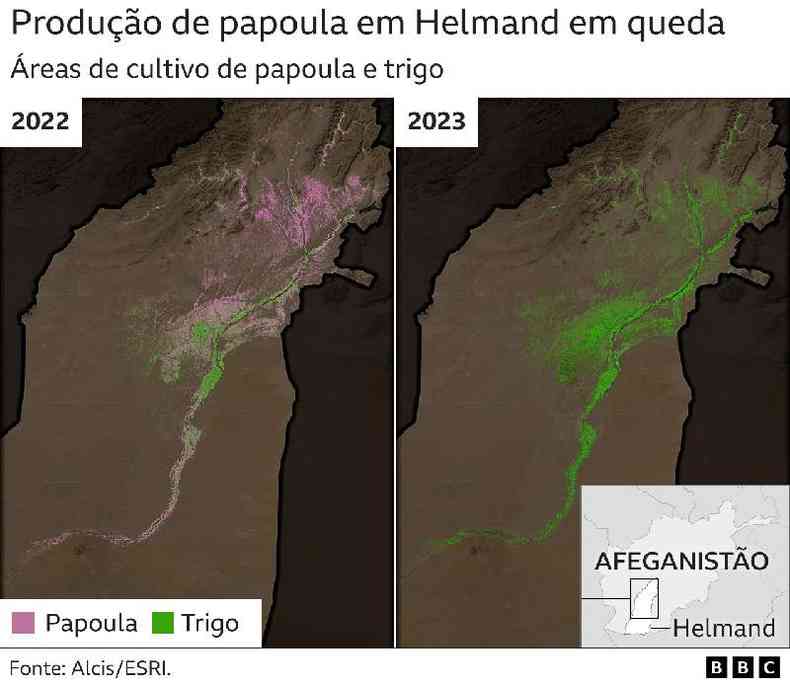 Imagens mostram queda da produo de papoula em Helmand entre 2022 e 2023