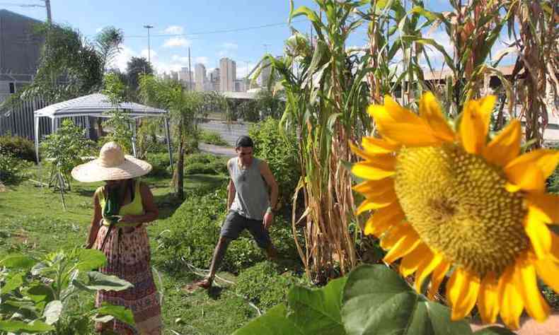 A agricultura urbana em São Paulo e Belo Horizonte: Uma proposta