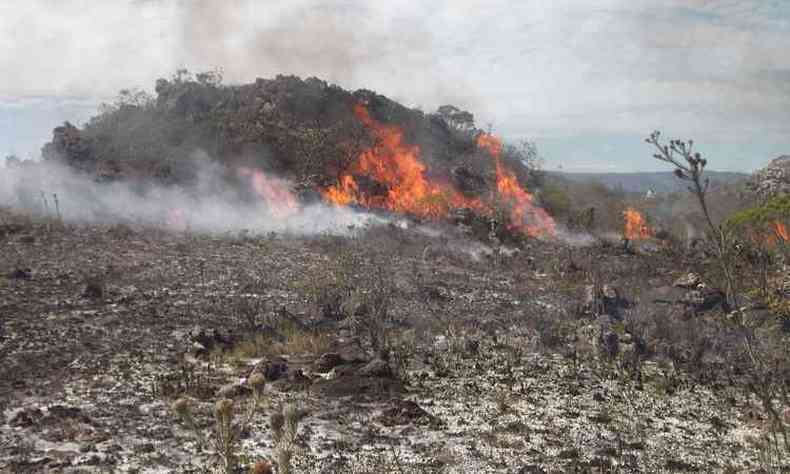 Queimadas castigam rea de Preservao Ambiental gua das Vertentes, no Alto Jequitinhonha(foto: Apa gua das Vertentes/Divulgao)