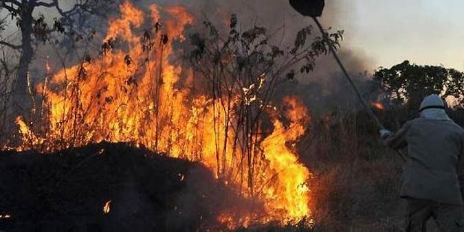 (foto: Arquivo/Valter Campanato/Agência Brasil) (foto: Arquivo/Valter Campanato/Agência Brasil)