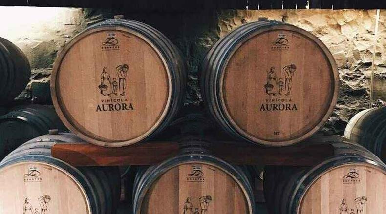 barris de vinho da vin�cola aurora