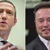 A possível luta entre Elon Musk e Mark Zuckerberg: negociações em andamento