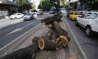 Troncos e galhos de rvores bloqueiam canteiro central da Avenida Afonso Pena, perto da PBH...(foto: Juarez Rodrigues/EM/DA Press)