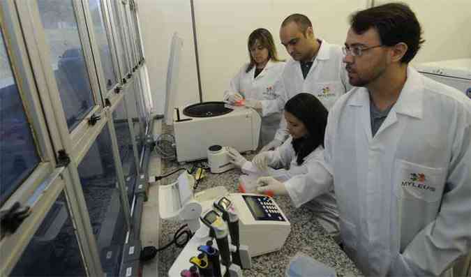 Equipe da empresa Myleus faz teste de DNA para certificar origem de produtos. Na foto, Marcela Drummond, Pollyana de Carvalho, Estevam Bravo Neto e Rafael Palhares (foto: Jair Amaral/EM/D.A Press)