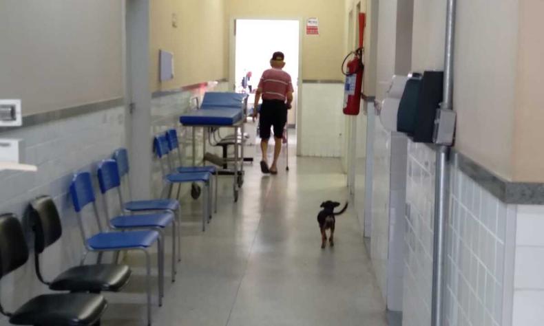 Cão vai atrás do dono e espera do lado de fora(foto: Marcos Vieira/EM/D.A Press) posto de saúde em BH