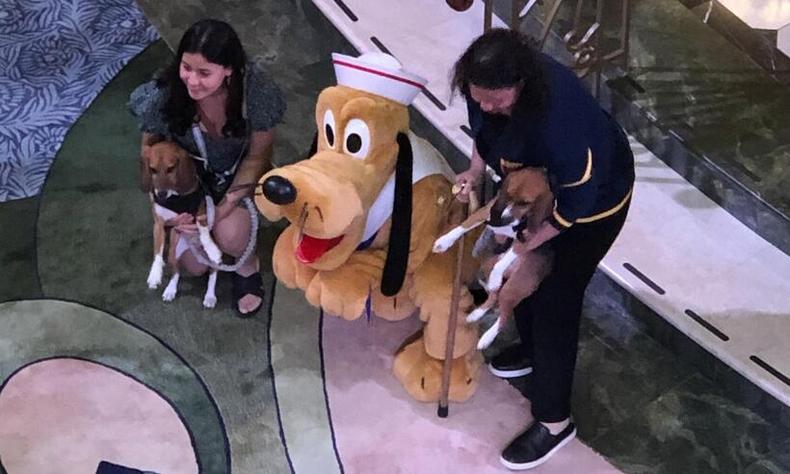 F Women holding dogs next to a man dressed as the Walt Disney character Pluto