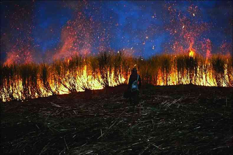 Em 2019, ele sobrevoou a Floresta Amaznica em chamas, com mais de 15 mil focos de incndio, e ficou chocado(foto: Araqum Alcntara/Divulgao)