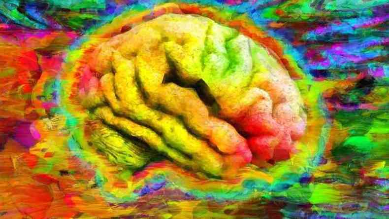 Crebro pintado com cores diversas