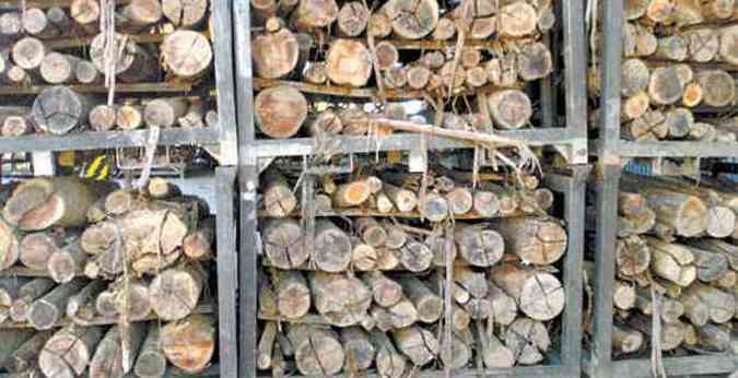 Ao ser queimada, madeira gera vrios subprodutos gasosos, sendo a maioria muito poluente. Soluo aplicada no processo minimiza ao negativa na atmosfera(foto: JOS DILCIO ROCHA/DIVULGAO)