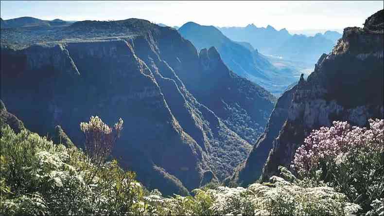 Parque Nacional de So Joaquim (SC) foi locao de filmagens de websrie(foto: Fundao Grupo Boticrio/Divulgao)