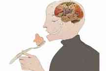 Comida, cérebro e desinflamação