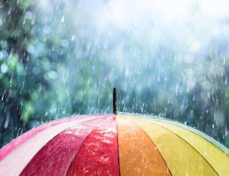 Insetos possuem instinto de sobrevivência bastante apurado %u2014 e o simples impacto de uma gota de chuva pode ser fatal para eles(foto: Getty Images) Chuva caindo em cima de guarda-chuva colorido