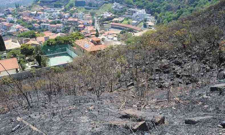 Incndio ameaou casas no Comiteco: bombeiros afirmam que tubulao com gua no est funcionando(foto: Paulo Figueiras/EM/D.a press)
