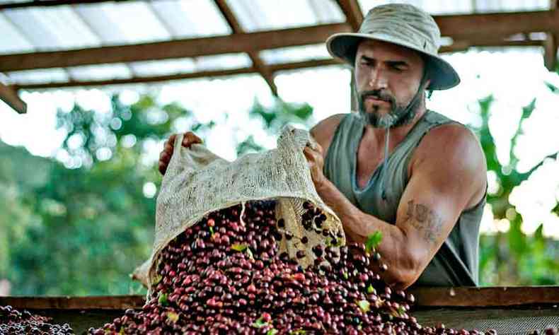 Impulsionador do mercado de cafs especiais, Clayton Barrossa Monteiro vai ensinar como produzir gros de qualidade(foto: Andr Berlinck/Divulgao)