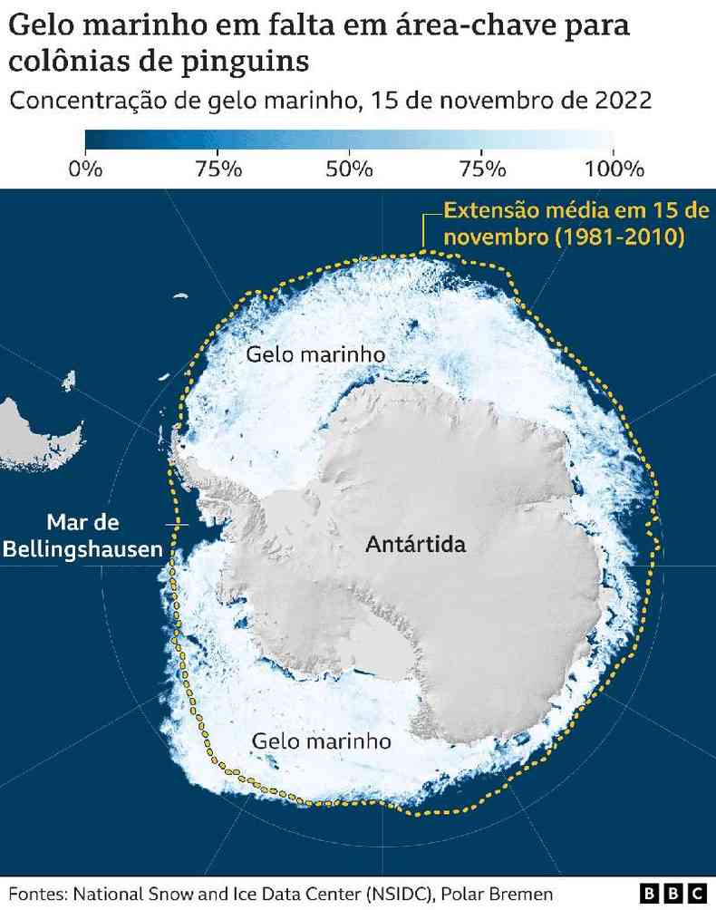 Imagem mostra gelo marinho em falta em regio povoada por pinguins
